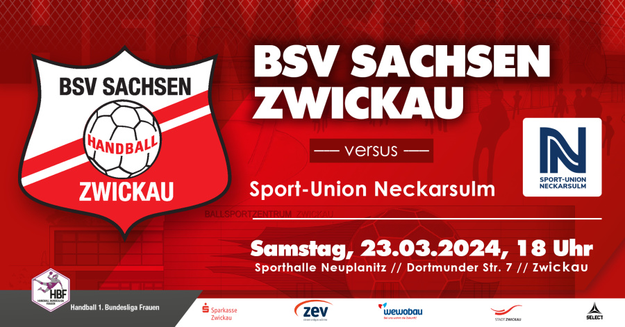 BSV Sachsen Zwickau // 23.03.2024